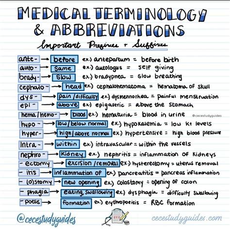 pov medical term.